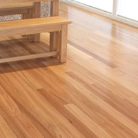 Spotted Gums solid timber flooring Adelaide